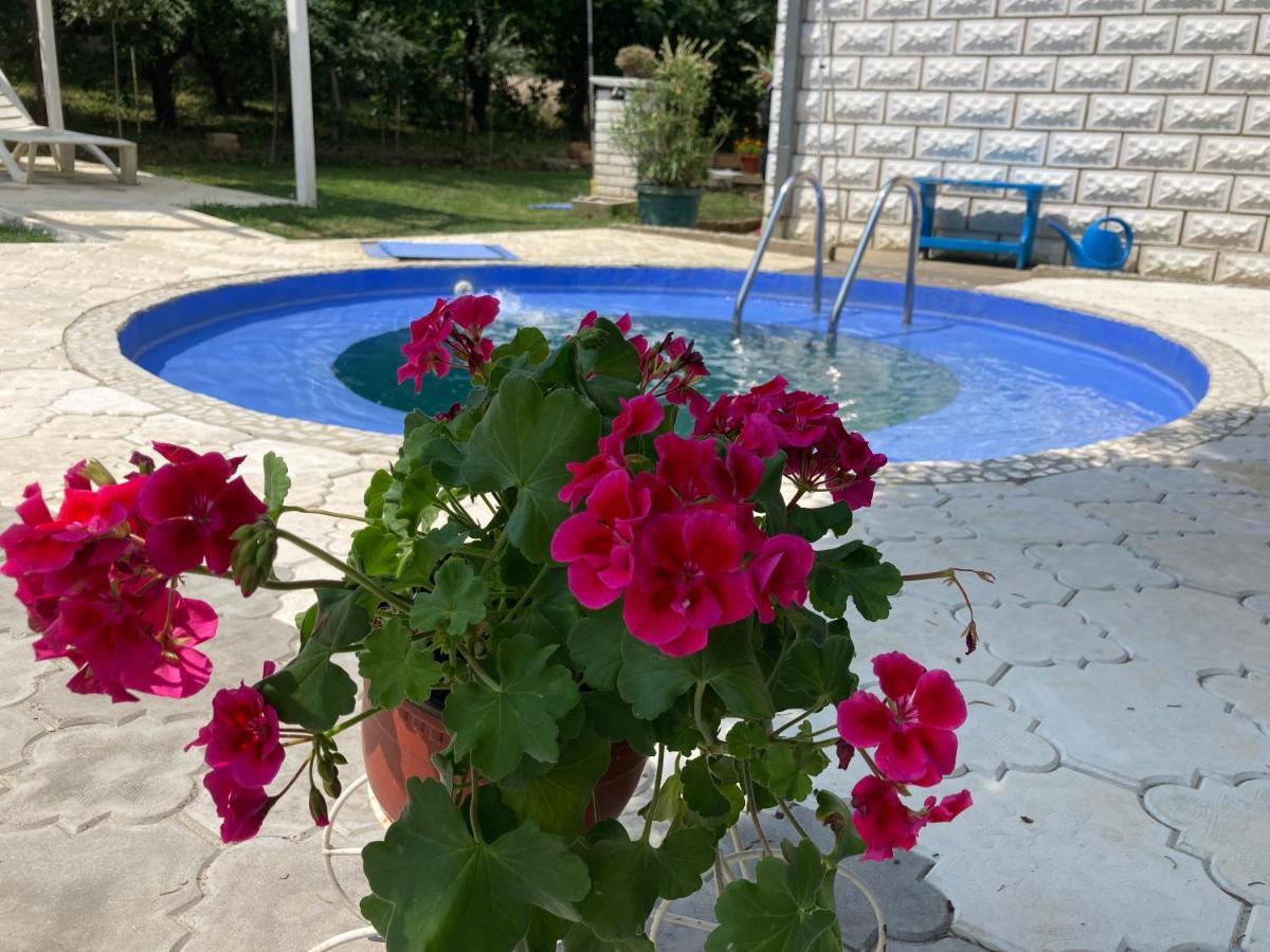 White House With Sauna And Jacuzzi Novi Sad Exterior photo