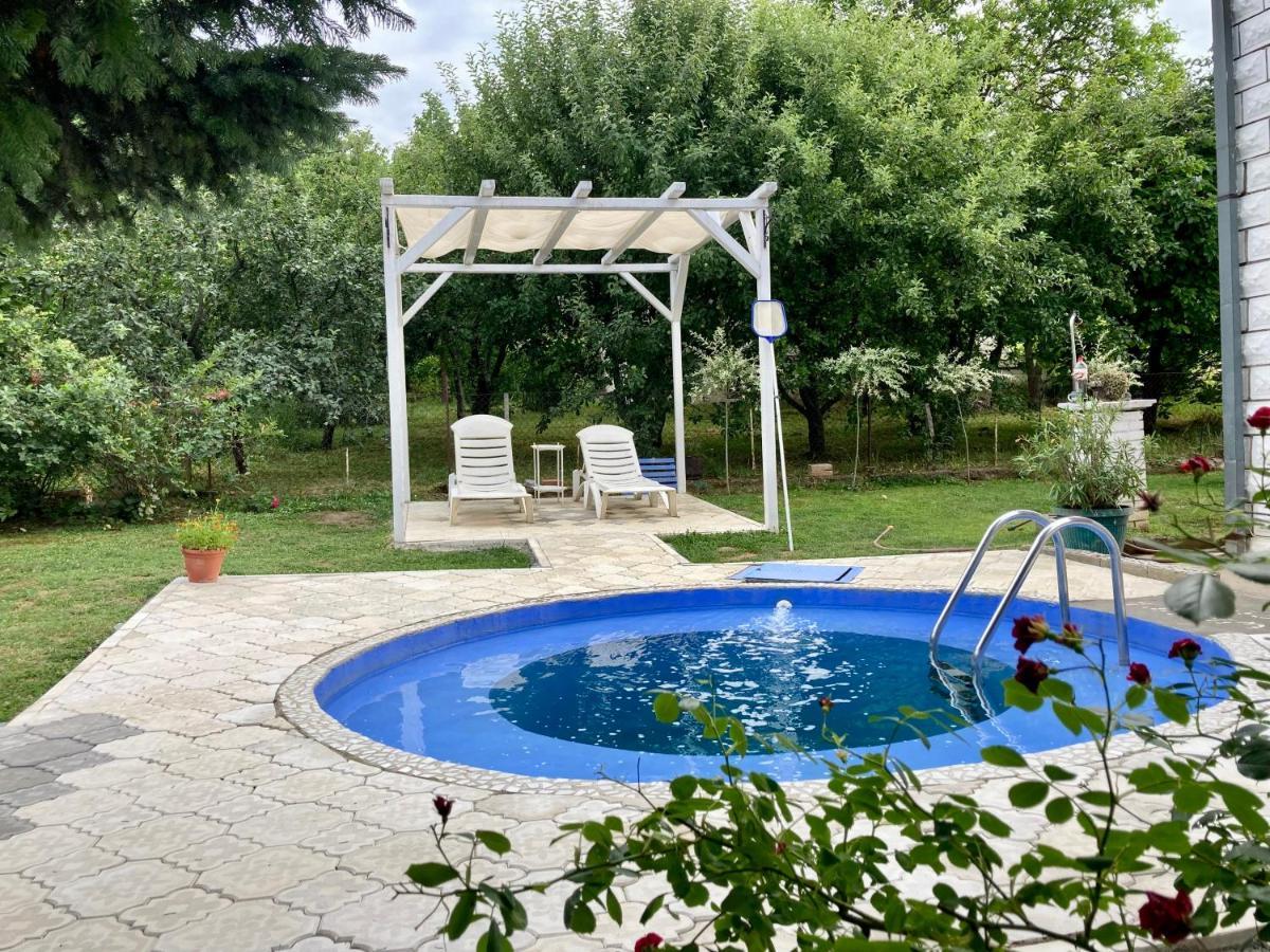 White House With Sauna And Jacuzzi Novi Sad Exterior photo