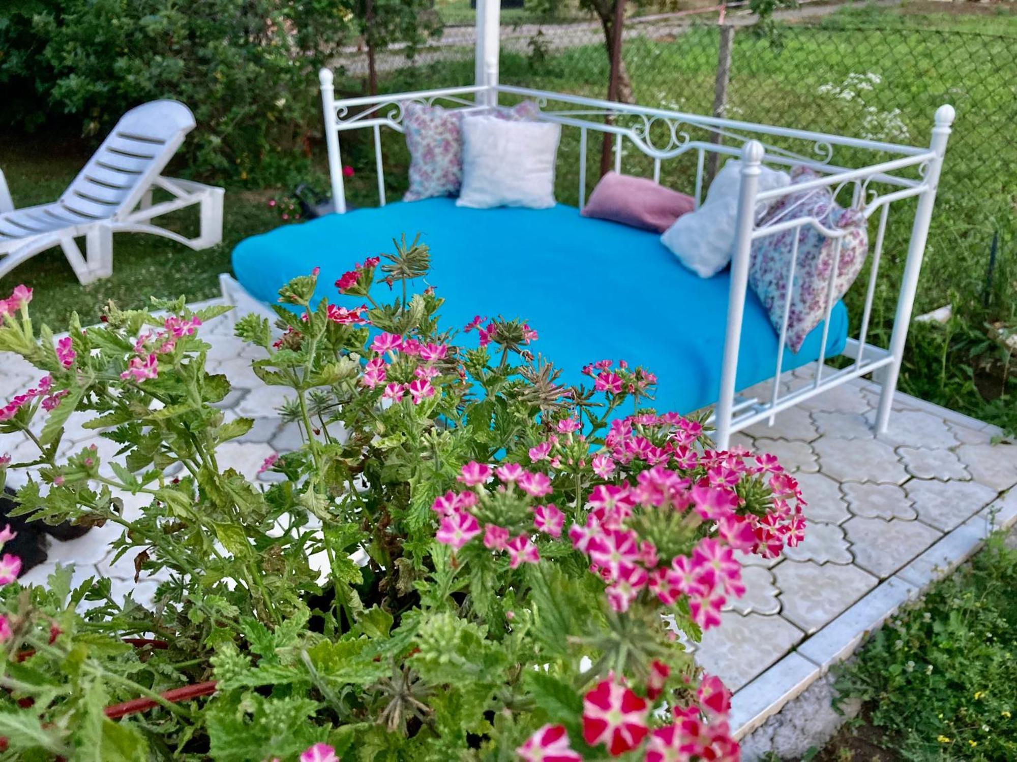 White House With Sauna And Jacuzzi Novi Sad Exterior photo