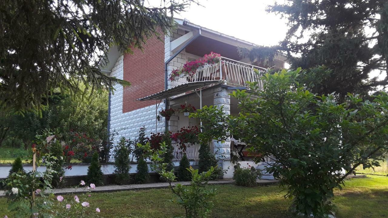White House With Sauna And Jacuzzi Novi Sad Exterior photo