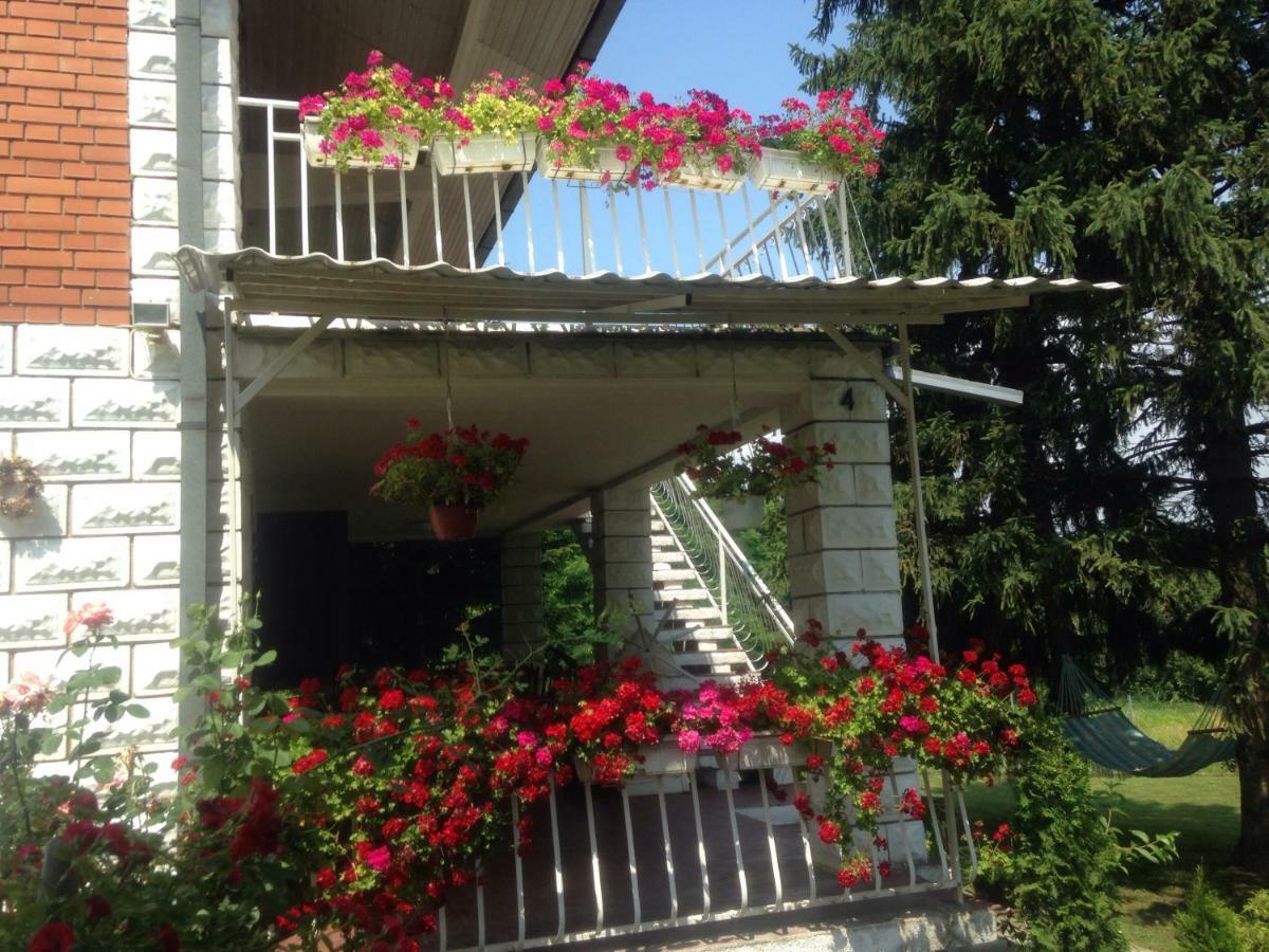 White House With Sauna And Jacuzzi Novi Sad Exterior photo